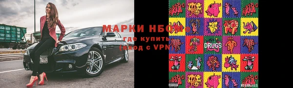 крисы Алзамай