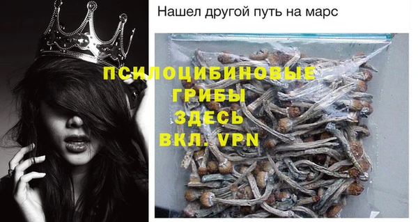 эйфоретик Алексин