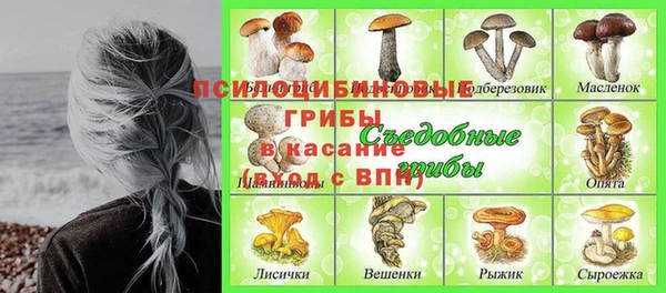 эйфоретик Алексин